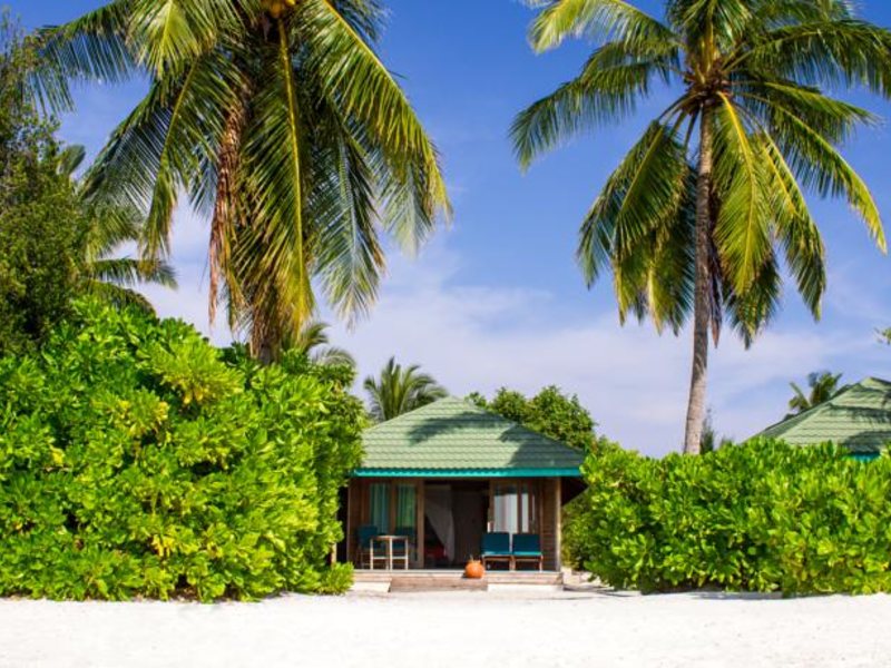 Canareef Resort (ex 134000