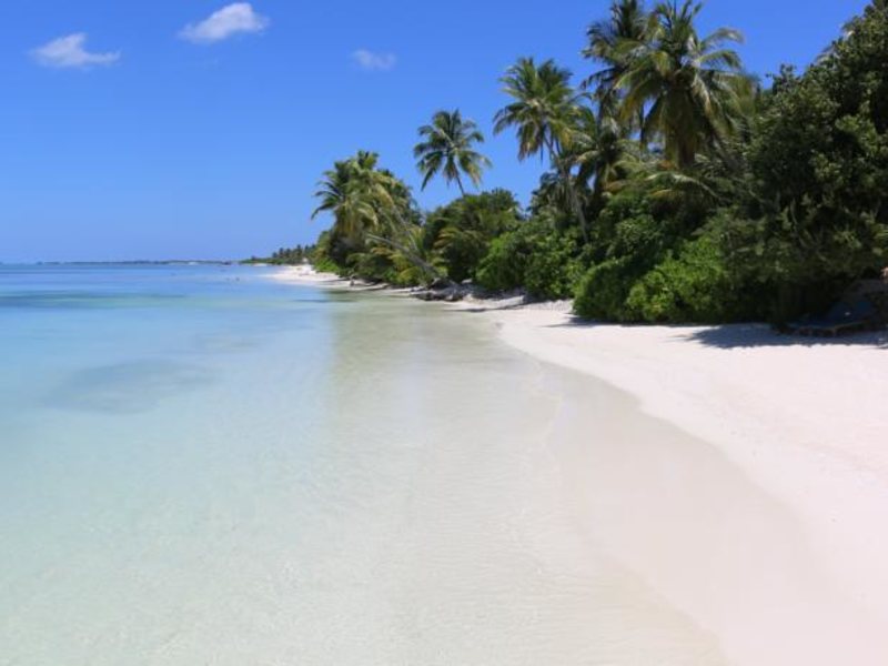 Canareef Resort (ex 134005