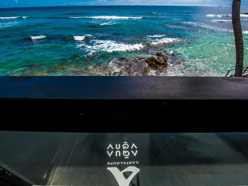 Cantaloupe Aqua 109619