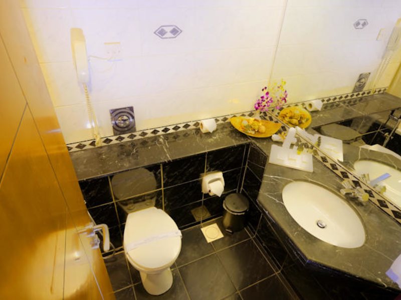 Capital O 246 Landmark Summit Hotel (ех 46772