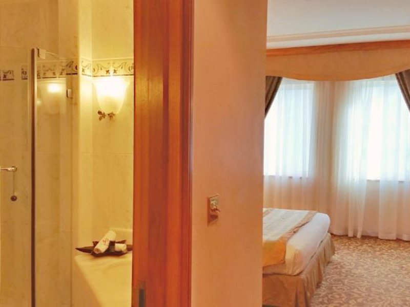 Carlton Palace Hotel 113076