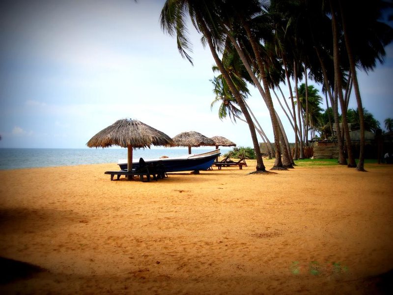 Carolina Beach 107322