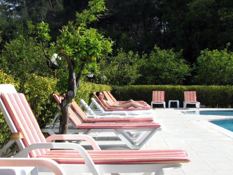 Carpathia Hotel 30450