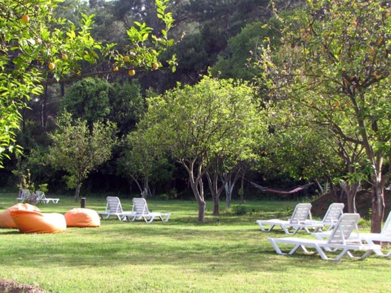 Carpathia Hotel 30452