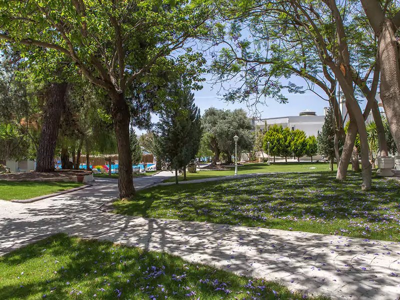 Carpe Mare Beach Resort 182936