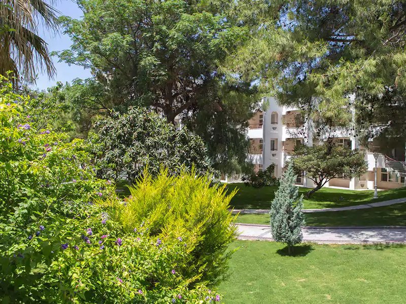 Carpe Mare Beach Resort 182945