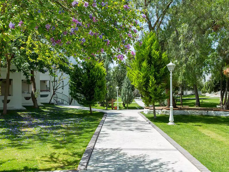 Carpe Mare Beach Resort 182957