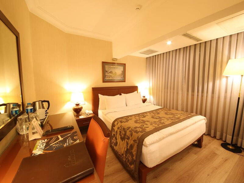 Cartoon Hotel 240724
