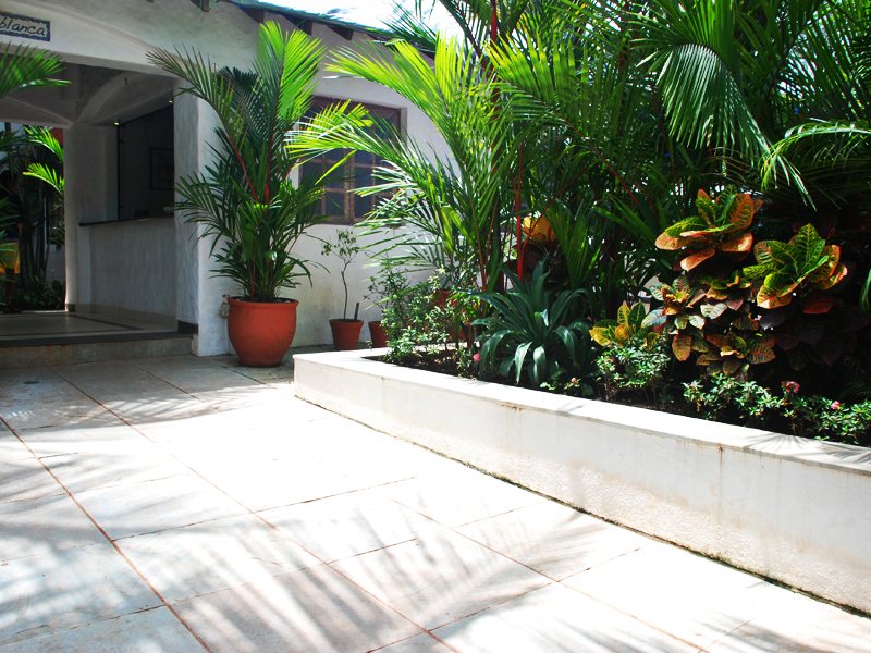 Casa Blanca Beach Resort 113415