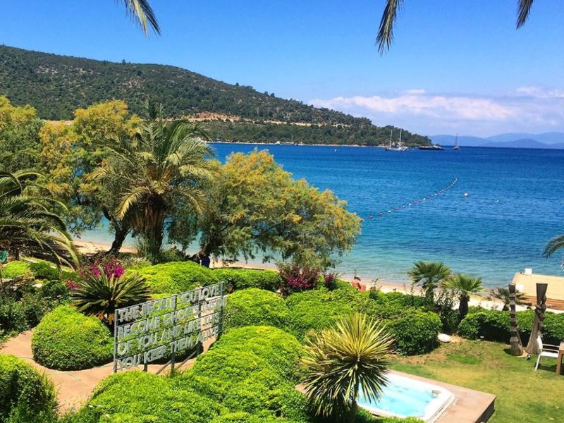 Casa dell Arte The Residence 281421