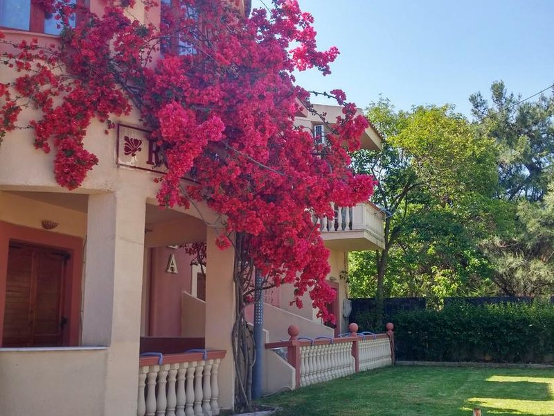 Castella Beach 253909