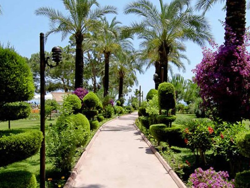 Catamaran Resort Hotel 38470