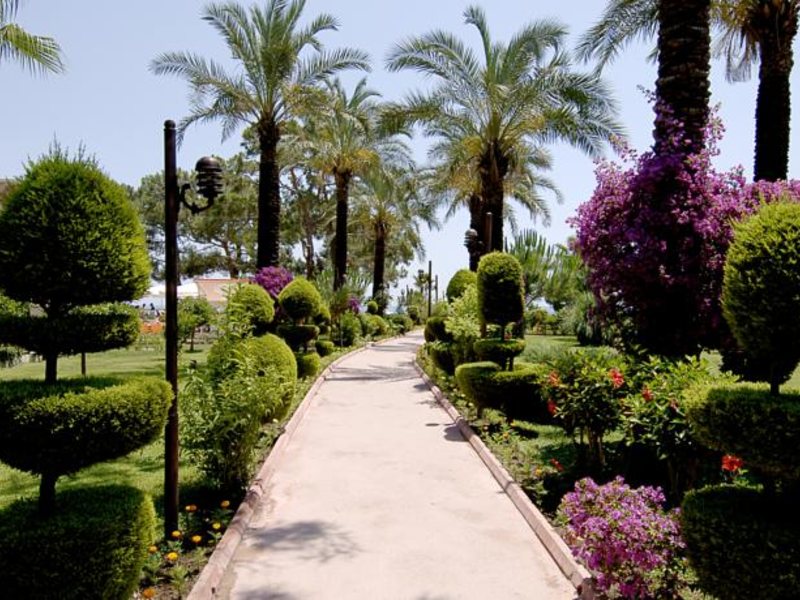 Catamaran Resort Hotel 55304