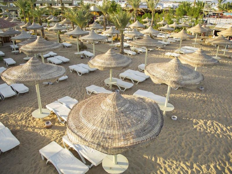 Cataract Layalina 180181