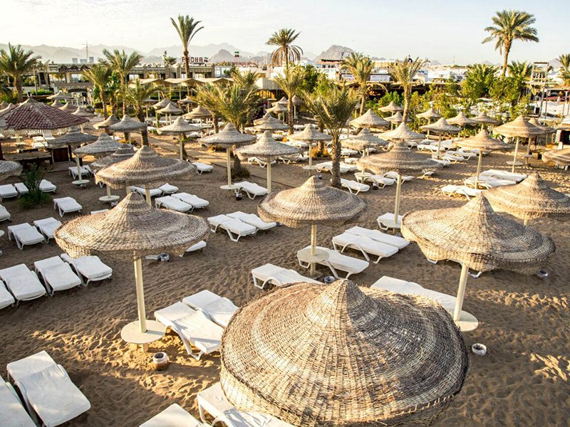 Cataract Layalina 309694