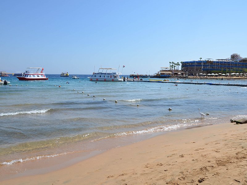 Cataract Layalina 309695