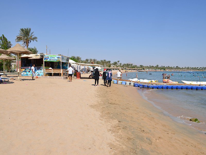 Cataract Layalina 309696