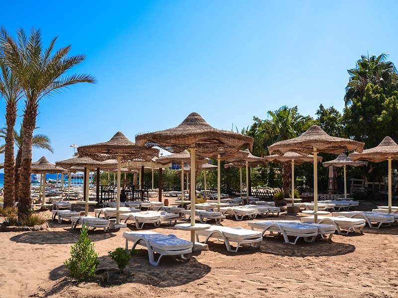 Cataract Layalina 309698