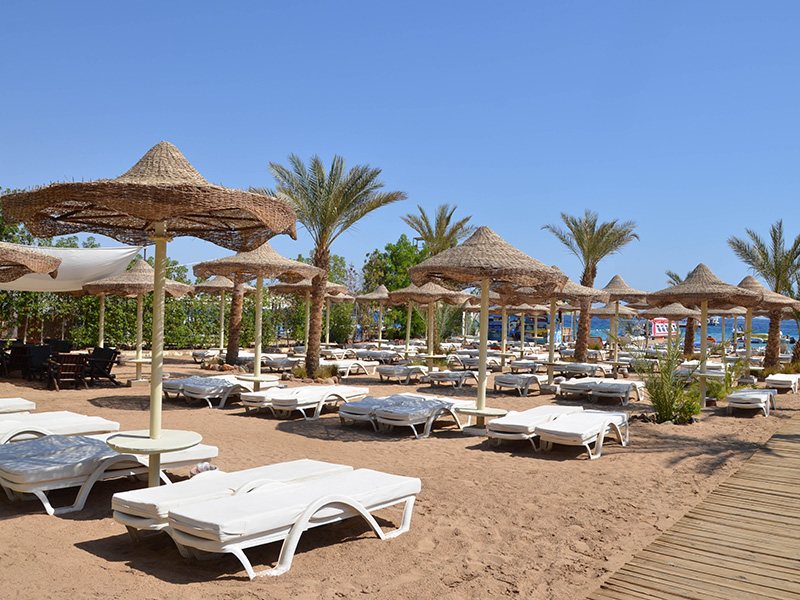 Cataract Layalina 309699