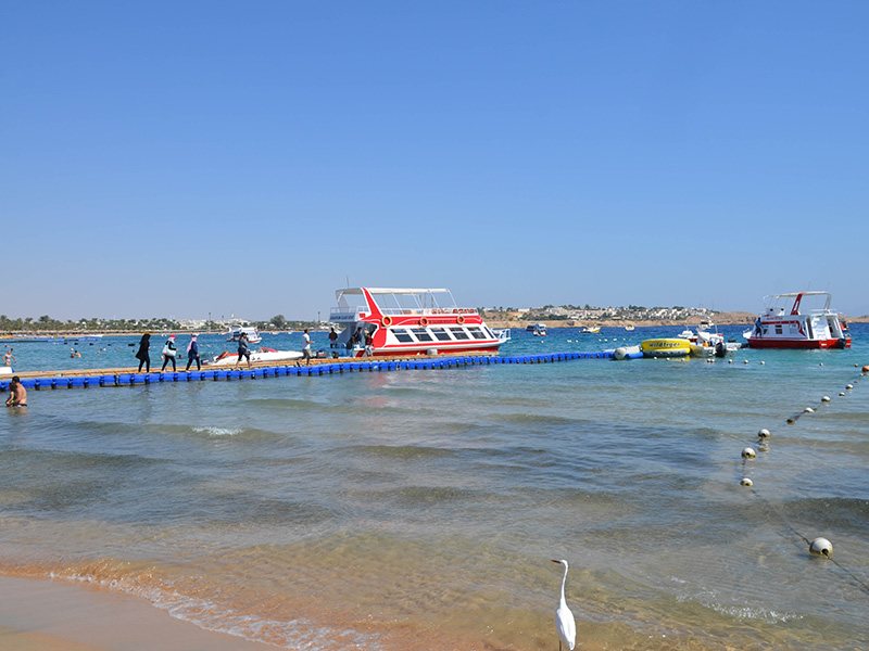 Cataract Layalina 309700