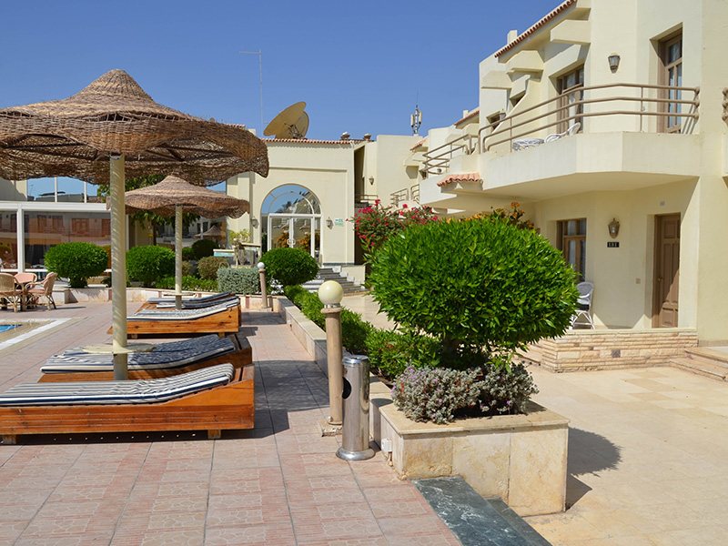 Cataract Layalina 309711