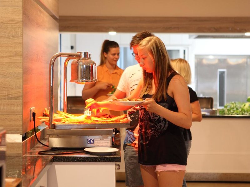 Catty Cats Garden Hotel 281433