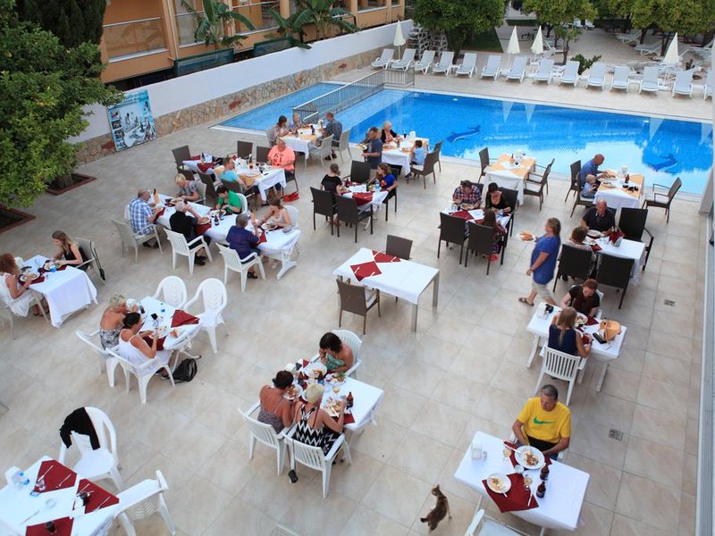 Catty Cats Garden Hotel 281444