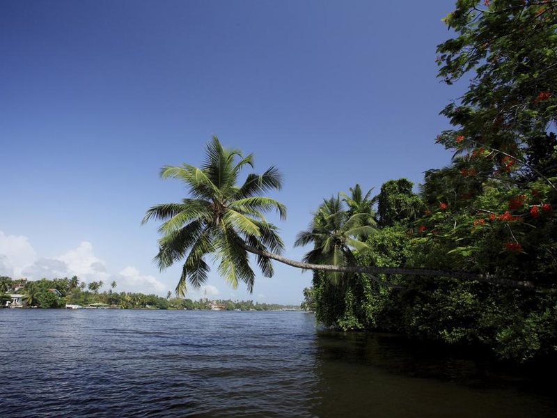 Centara Ceysands Resort & Spa 109005