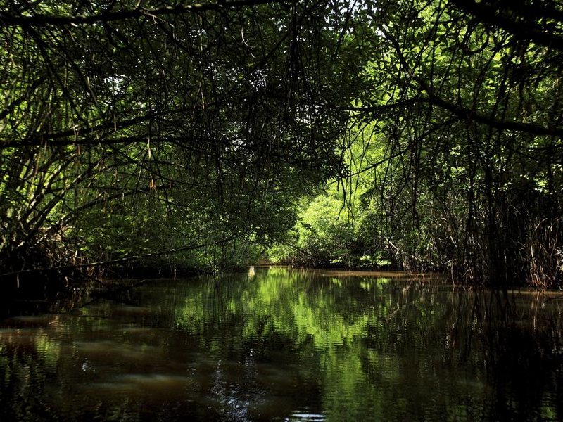 Centara Ceysands Resort & Spa 109007