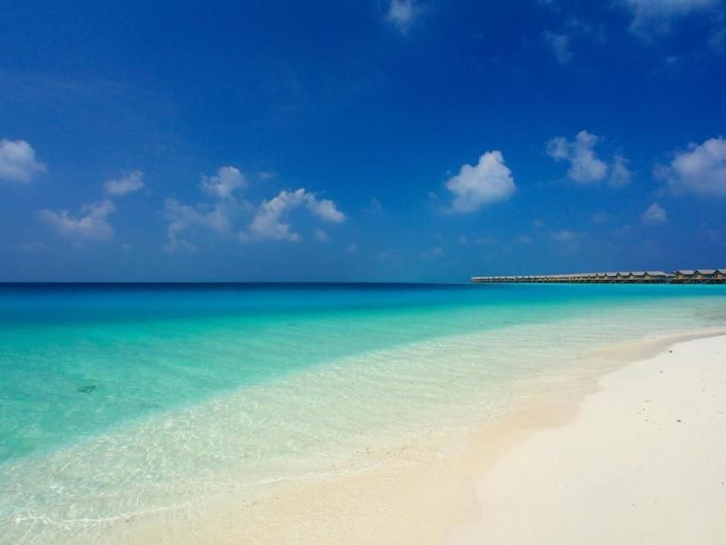 Centara Ras Fushi Resort & Spa 134132