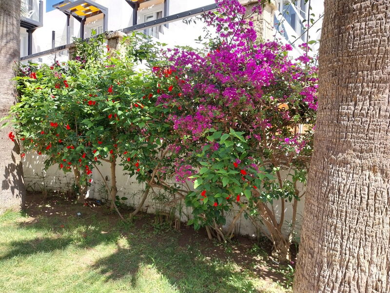 Charm Beach Hotel 327373