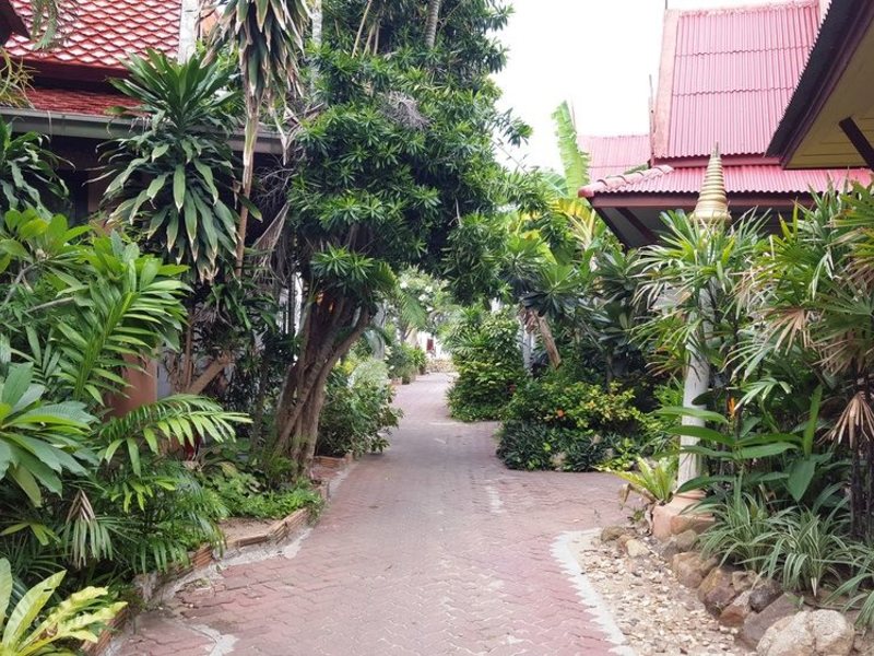 Chaweng Resort 150887