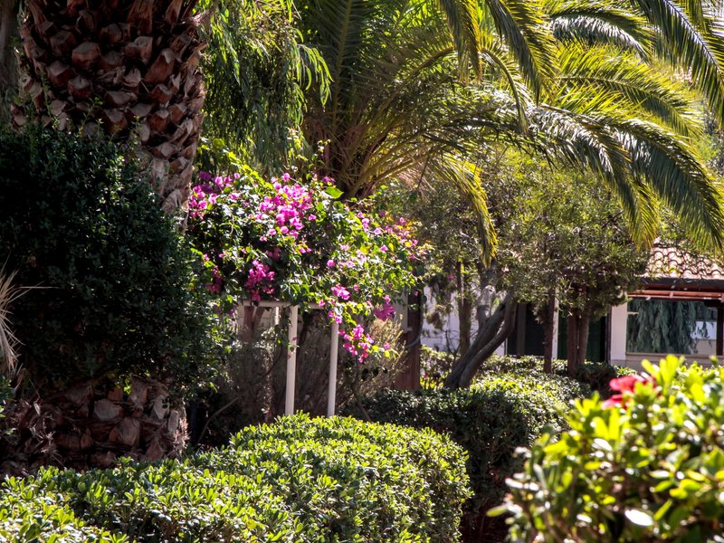 Chc Club Lyda Hotel 76725