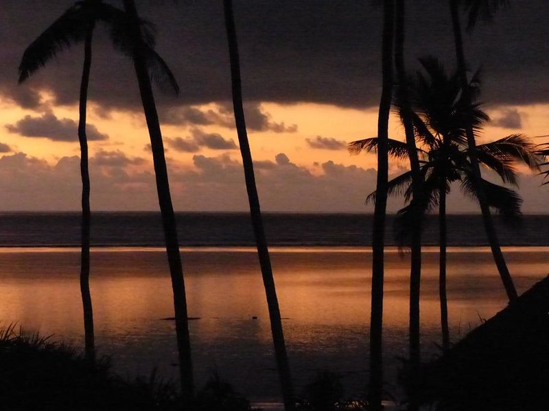 Che Che Vule  228833