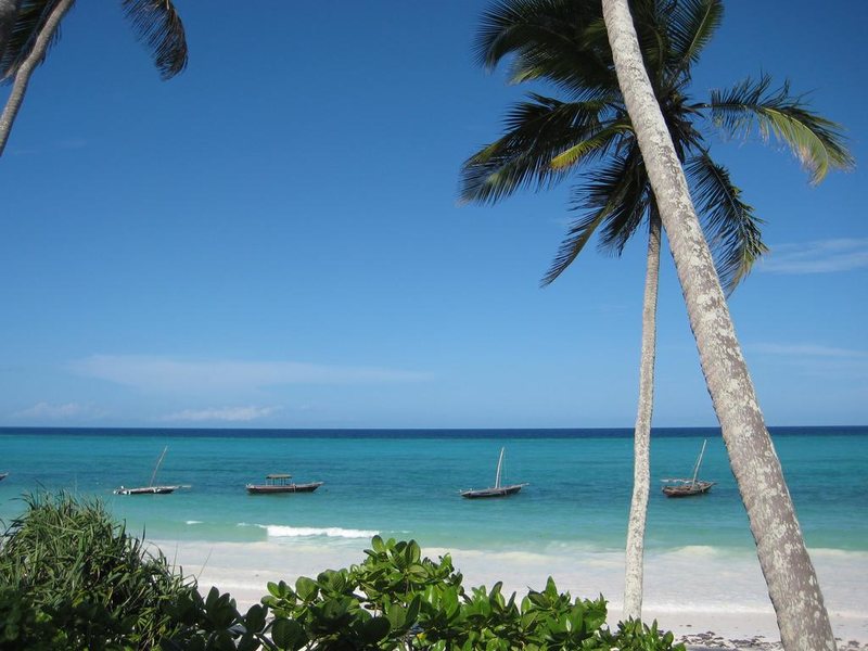 Che Che Vule  228834