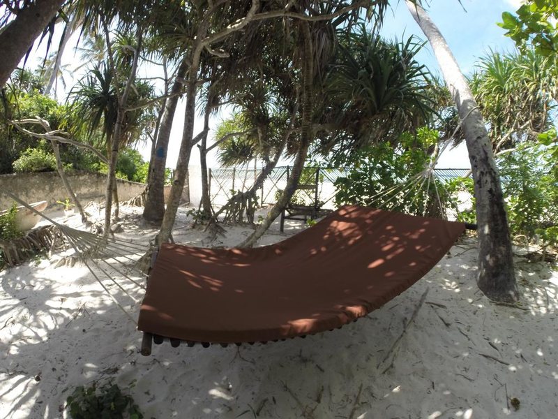 Che Che Vule  228838