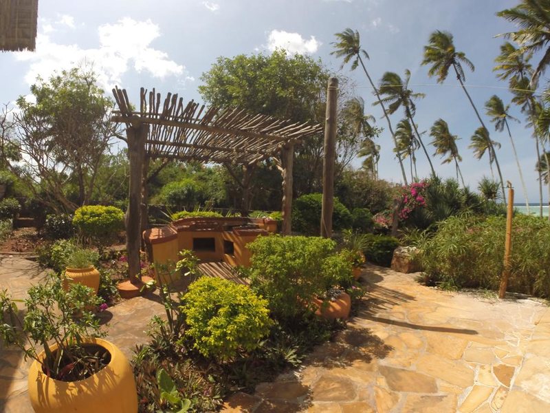 Che Che Vule  228839