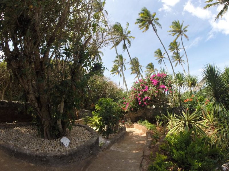 Che Che Vule  228840