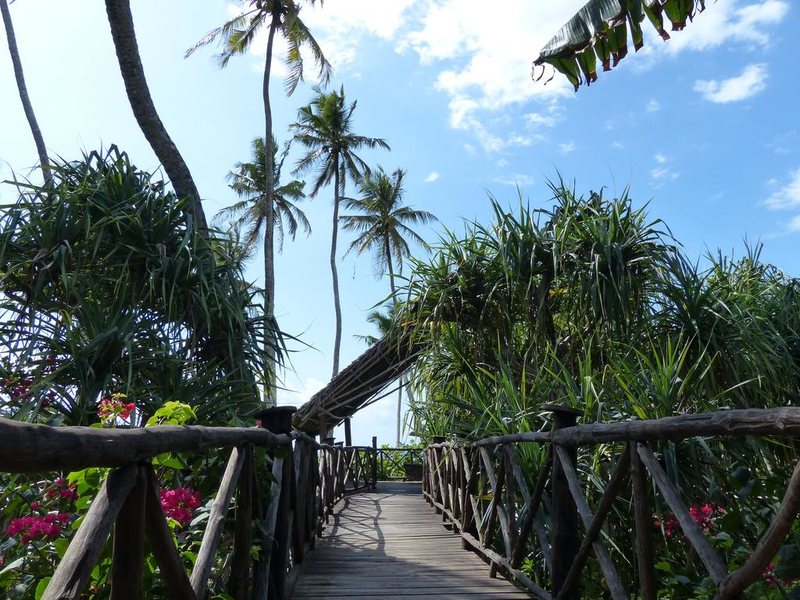 Che Che Vule  228844