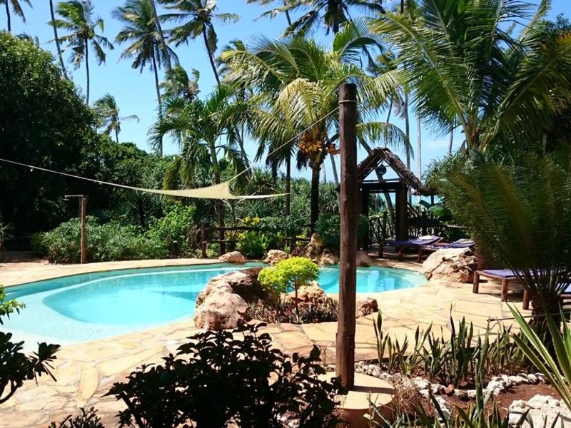 Che Che Vule  228848