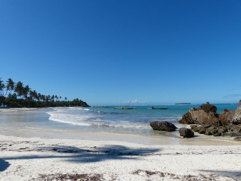 Che Che Vule  228849