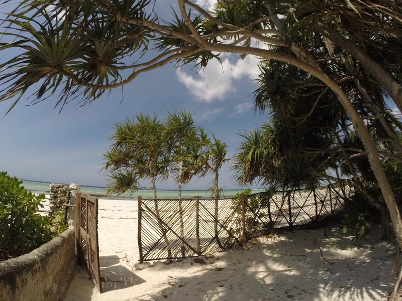 Che Che Vule  228853