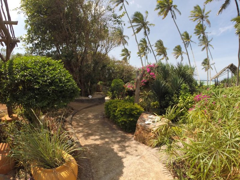 Che Che Vule  228858