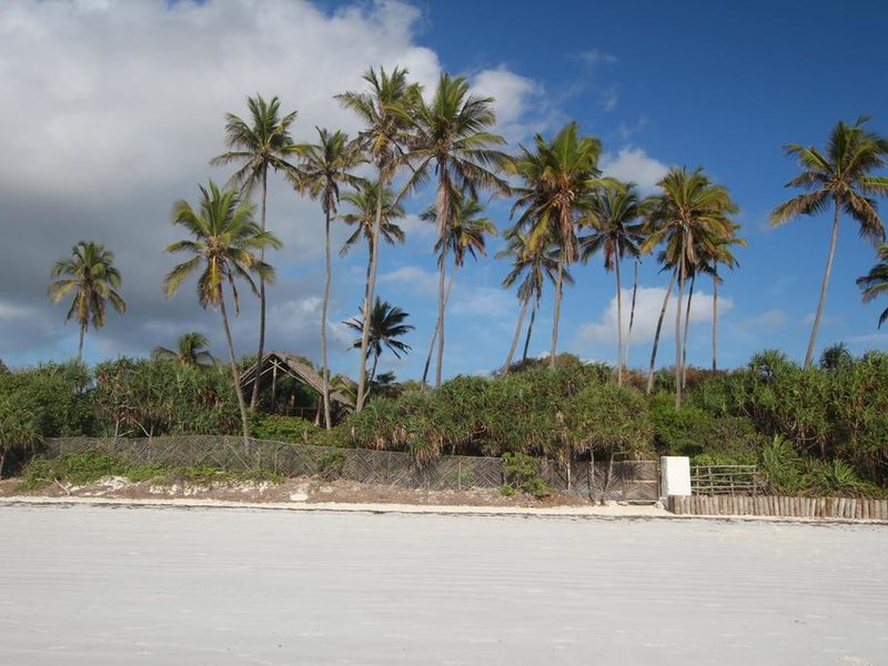 Che Che Vule  228859