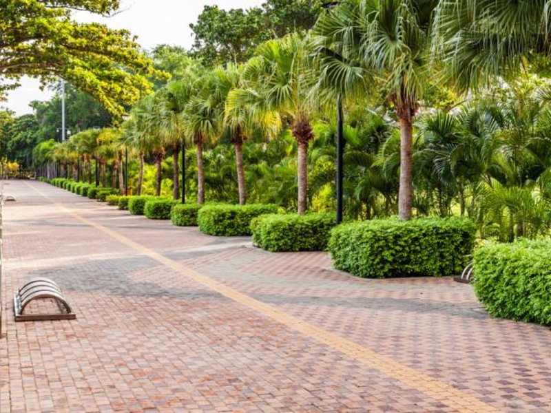 Cholchan Pattaya Resort 150931