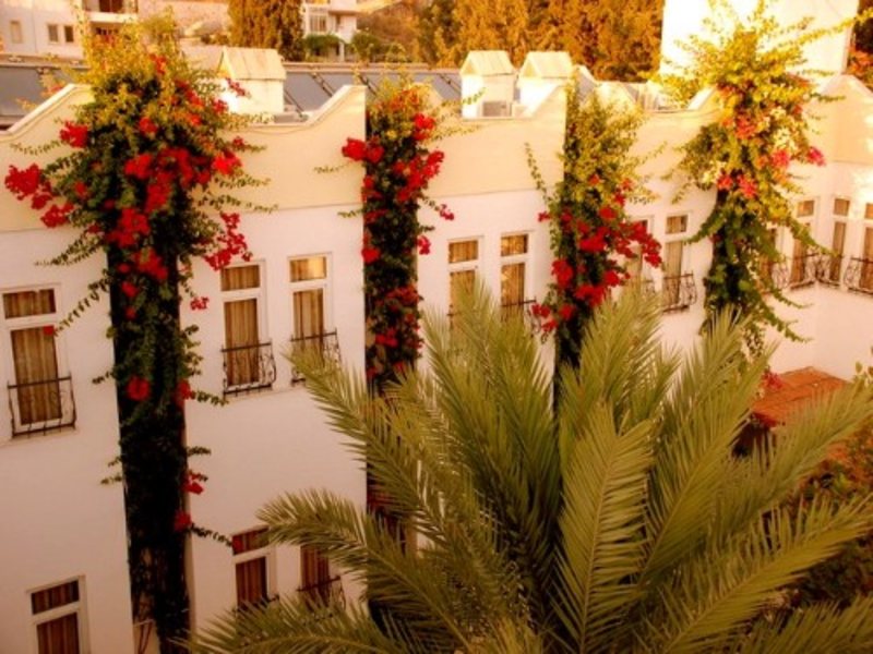 Chronos Beach Bitez (ex 29460