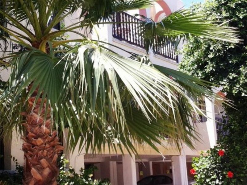 Chrysland Hotel 100239