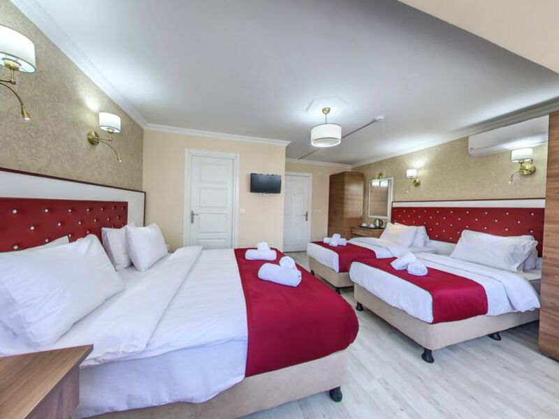 Cihangir Palace Hotel 304024