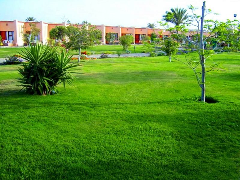 Cinderella Beach Quseir Diving Club 36472