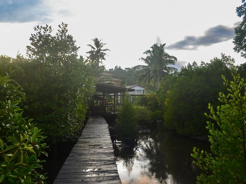 Cinnamon Lake Inn 193455